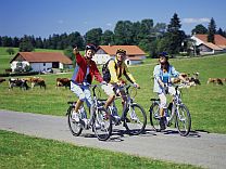 Radeln mit Rückenwind - Foto © movelo Radeln mit Rückenwind - Foto © movelo