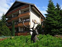 Hotel ZUM GOLDENEN HIRSCH Hotel ZUM GOLDENEN HIRSCH